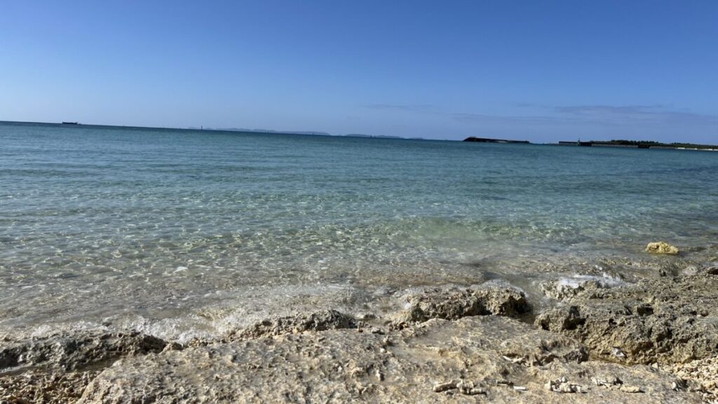 南浜公園の芝生エリア