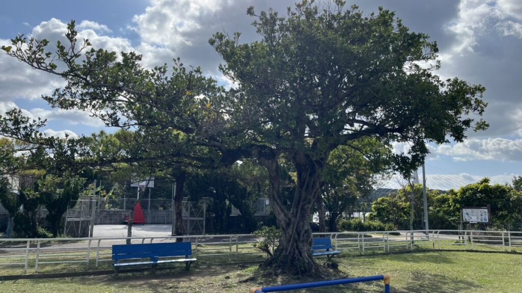 漫湖公園 休憩スペース