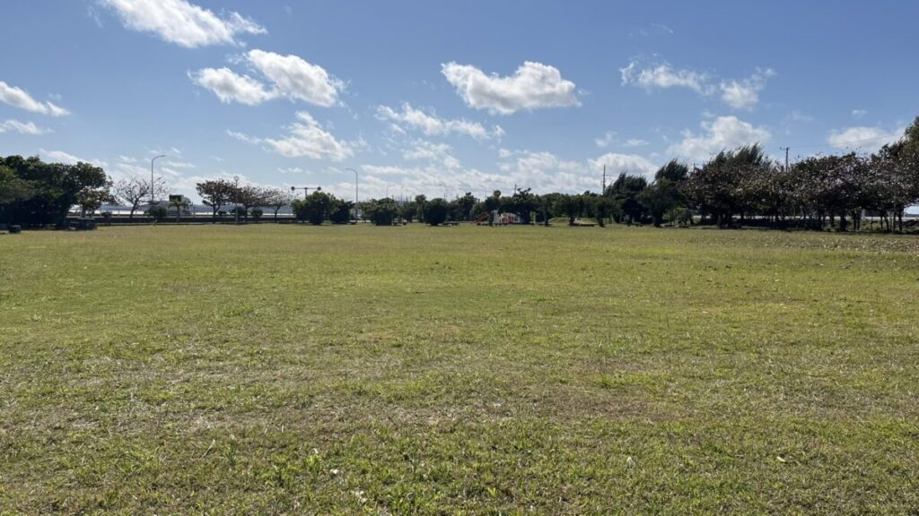 広々とした芝生広場